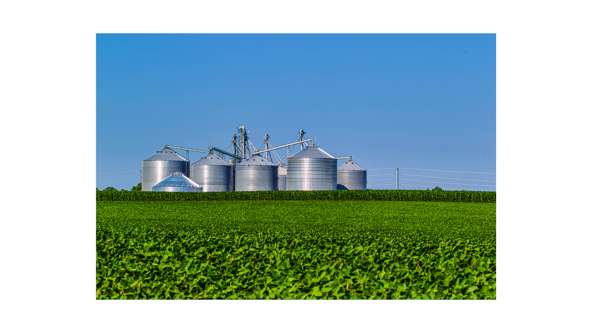 Imagem de um campo de plantação com silos ao fundo