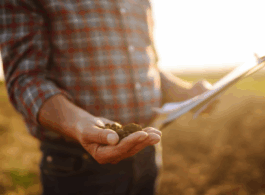 Produtor rural e reforma tributária