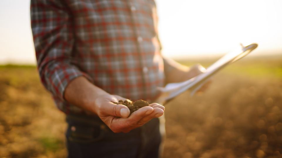Produtor rural e reforma tributária