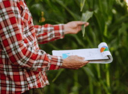 O Seguro pode ser uma garantia aos credores face aos imprevistos na indústria do agro