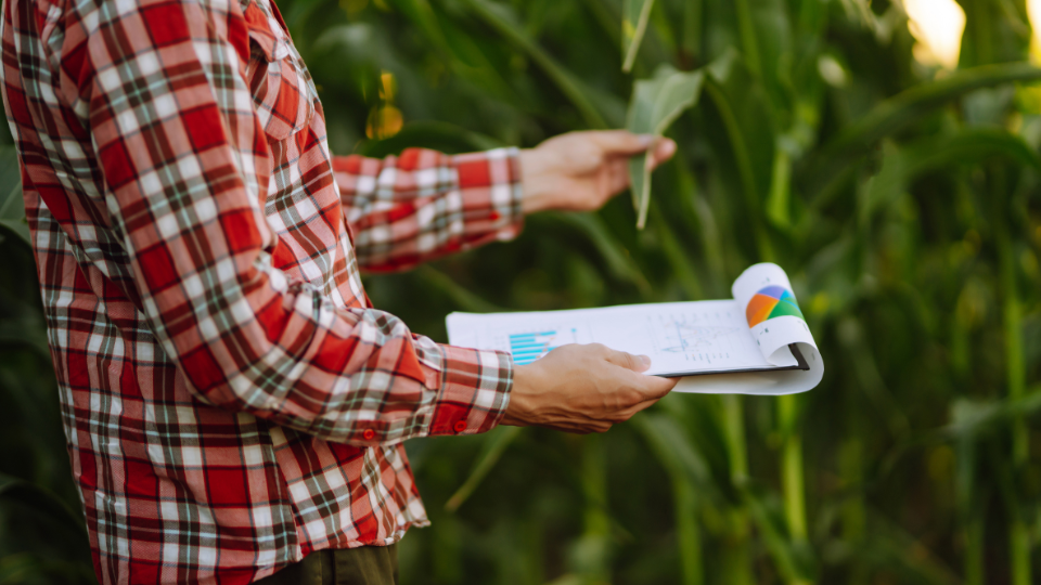 O Seguro pode ser uma garantia aos credores face aos imprevistos na indústria do agro