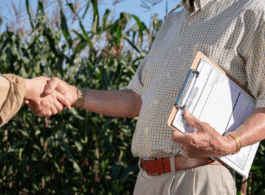 Alongamento de dívida rural exige critérios técnicos e respeito à legalidade