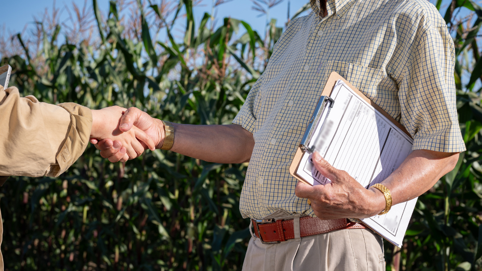 Alongamento de dívida rural exige critérios técnicos e respeito à legalidade
