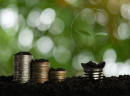 Banco britânico firma acordo com o Acre para venda inédita de créditos de carbono