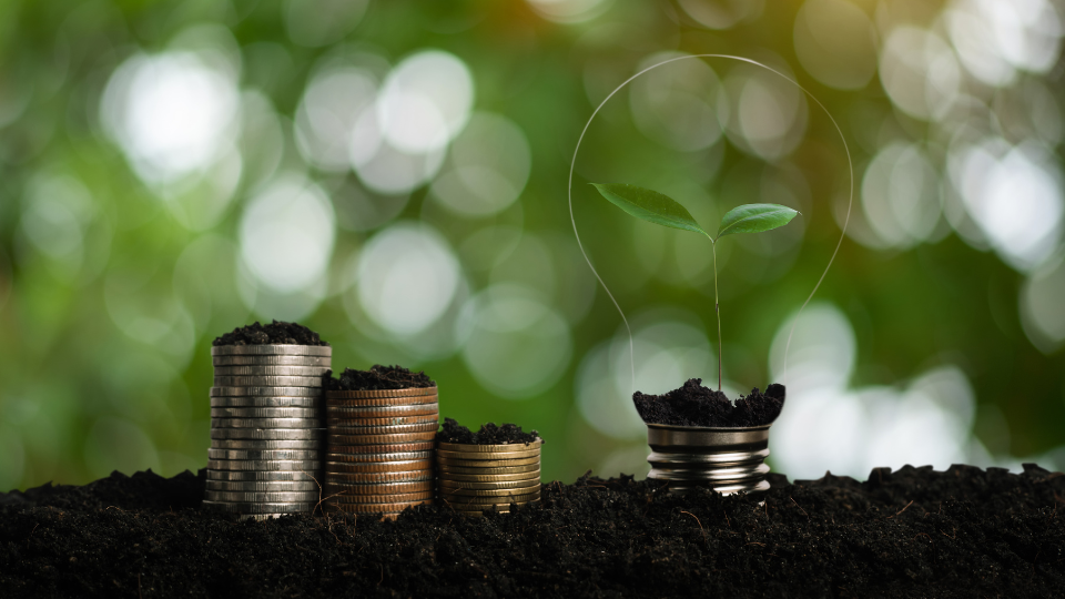 Banco britânico firma acordo com o Acre para venda inédita de créditos de carbono