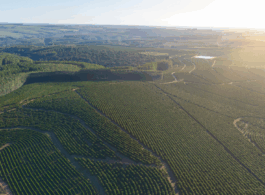 O ITR e a Função Social da Terra Evolução Republicana do Tributo