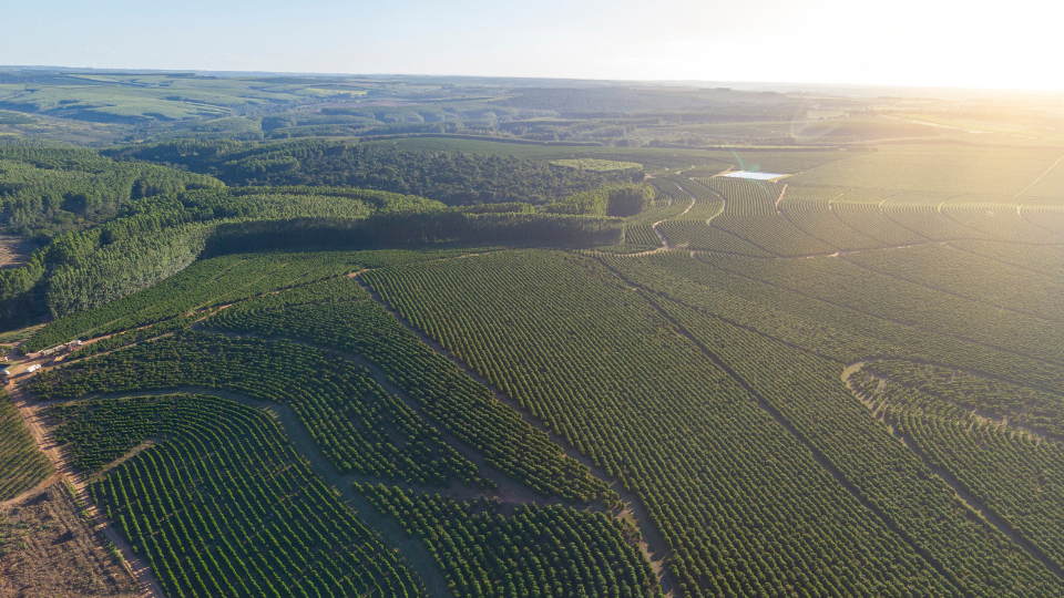 O ITR e a Função Social da Terra Evolução Republicana do Tributo