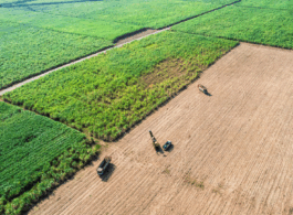 PRODUTOR RURAL E O PARADIGMA FALIMENTAR