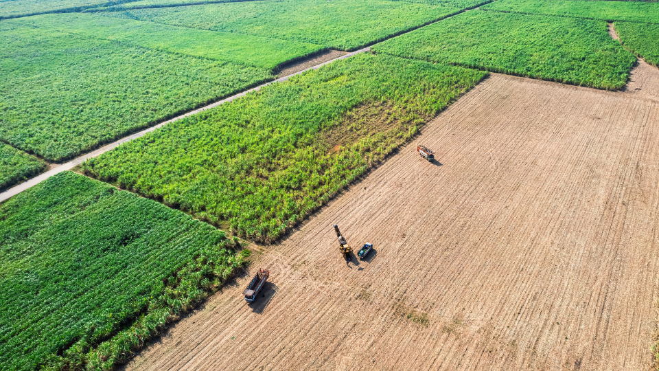 PRODUTOR RURAL E O PARADIGMA FALIMENTAR