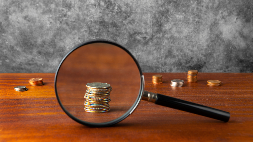 Malha fiscal O que é, e como escapar das garras do leão